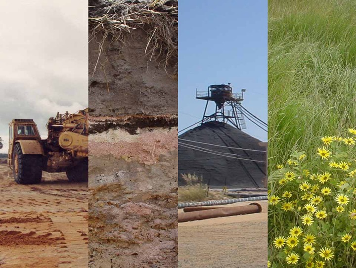 Dr Katharine Brown's mining rehabilitation trial